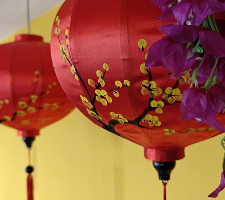 Restaurant vietnamien Bordeaux - La petite lanterne