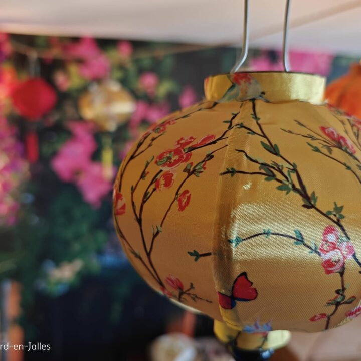 Restaurant vietnamien Bordeaux - La petite lanterne