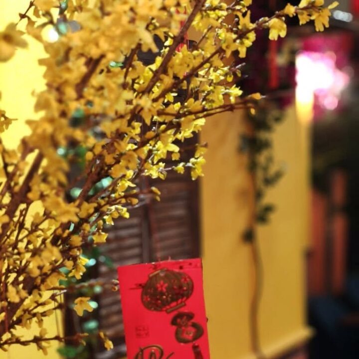 Restaurant vietnamien Bordeaux - La petite lanterne